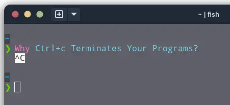 Why Ctrl+C Terminates Your Programs in the Terminal?
